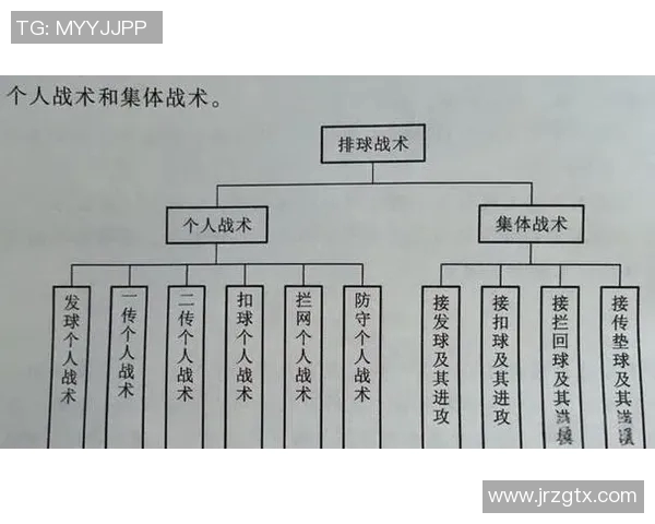 深圳排球队的节奏打法深度解析与战术创新探讨
